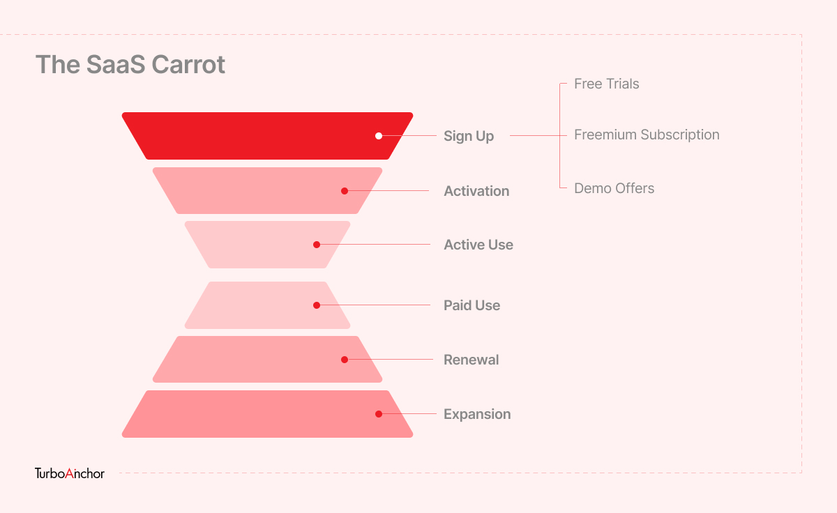 saas carrot